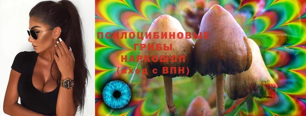 метадон Абаза