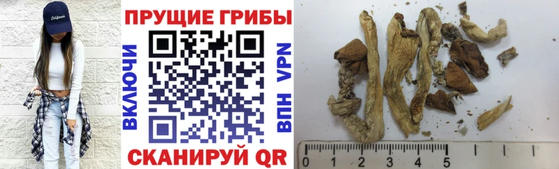 Псилоцибиновые грибы MAGIC MUSHROOMS  МЕГА ТОР  Серпухов 